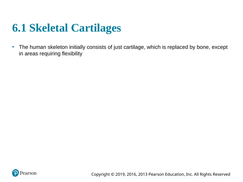 Human Anatomy and Physiology Eleventh Edition - slide 4 of 54
