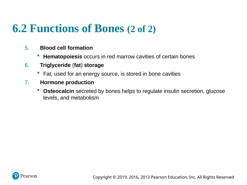 Human Anatomy and Physiology Eleventh Edition - slide 11 of 54