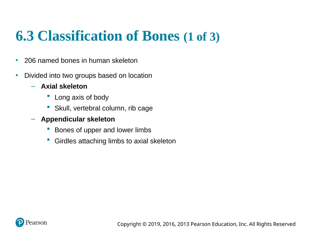 Human Anatomy and Physiology Eleventh Edition - slide 12 of 54