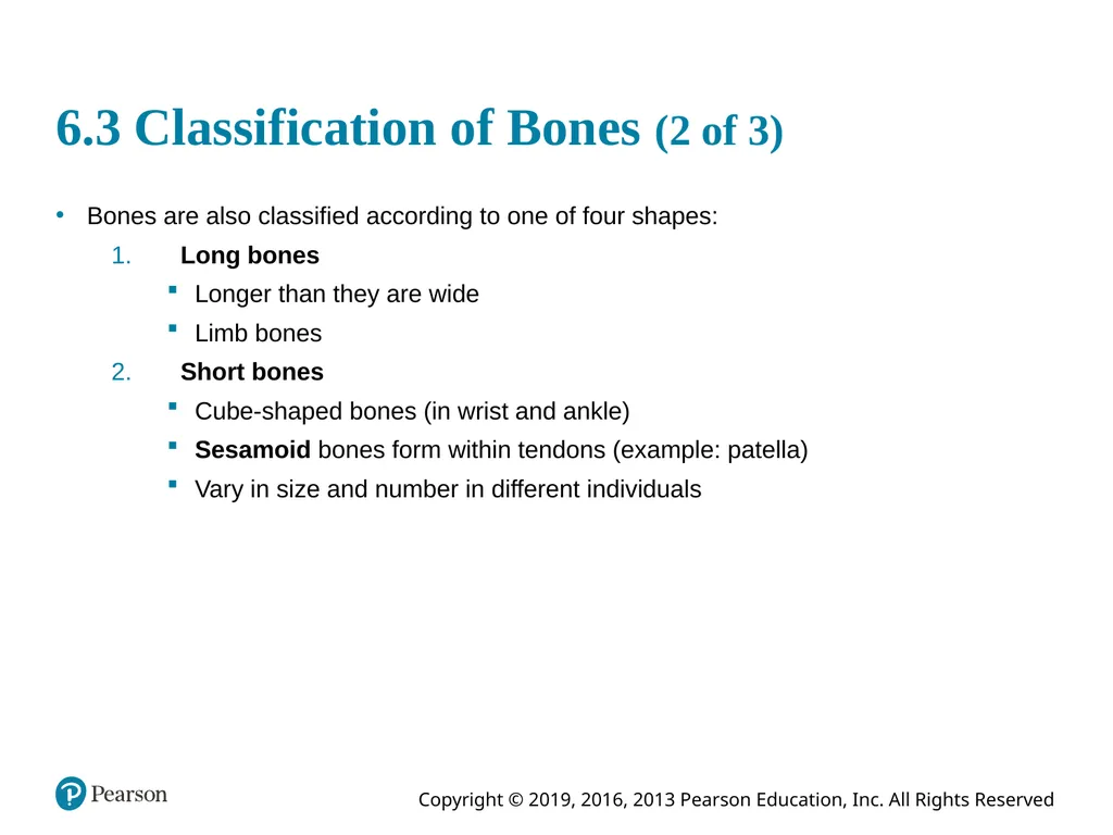 Human Anatomy and Physiology Eleventh Edition - slide 14 of 54