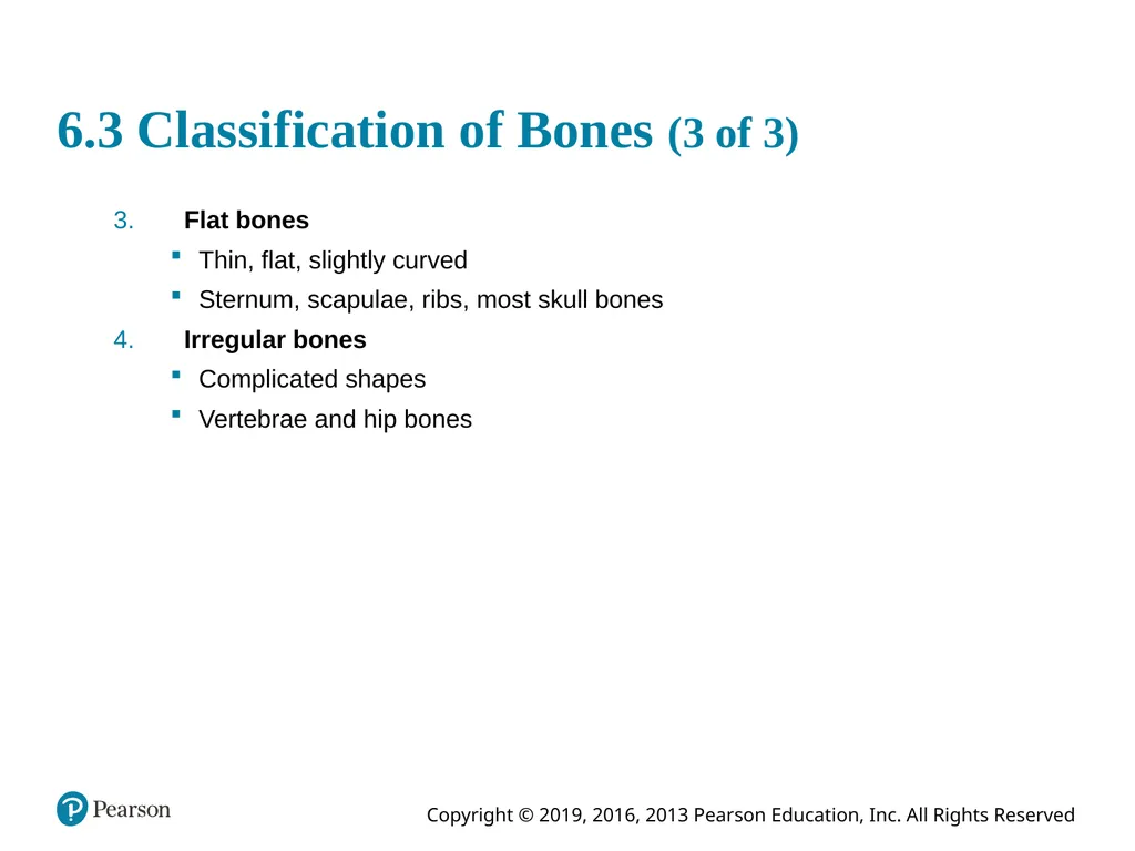 Human Anatomy and Physiology Eleventh Edition - slide 15 of 54