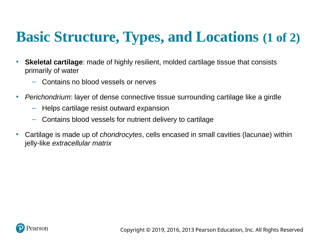Human Anatomy and Physiology Eleventh Edition - slide 5 of 54