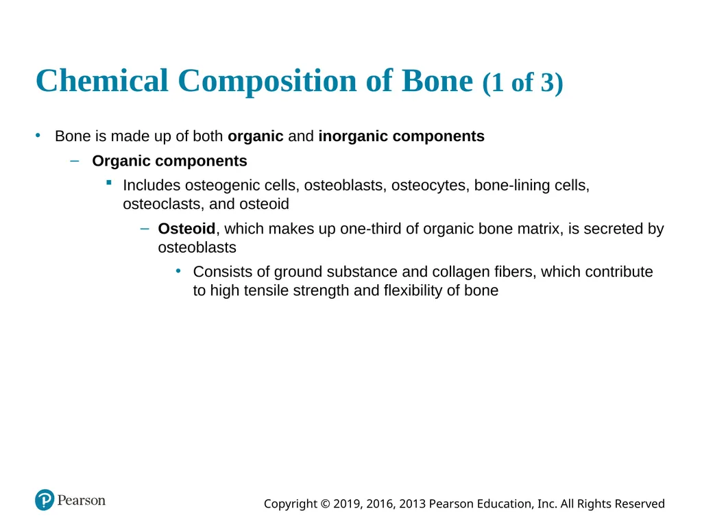 Human Anatomy and Physiology Eleventh Edition - slide 51 of 54