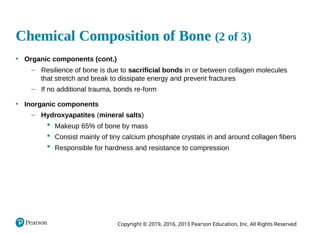Human Anatomy and Physiology Eleventh Edition - slide 52 of 54