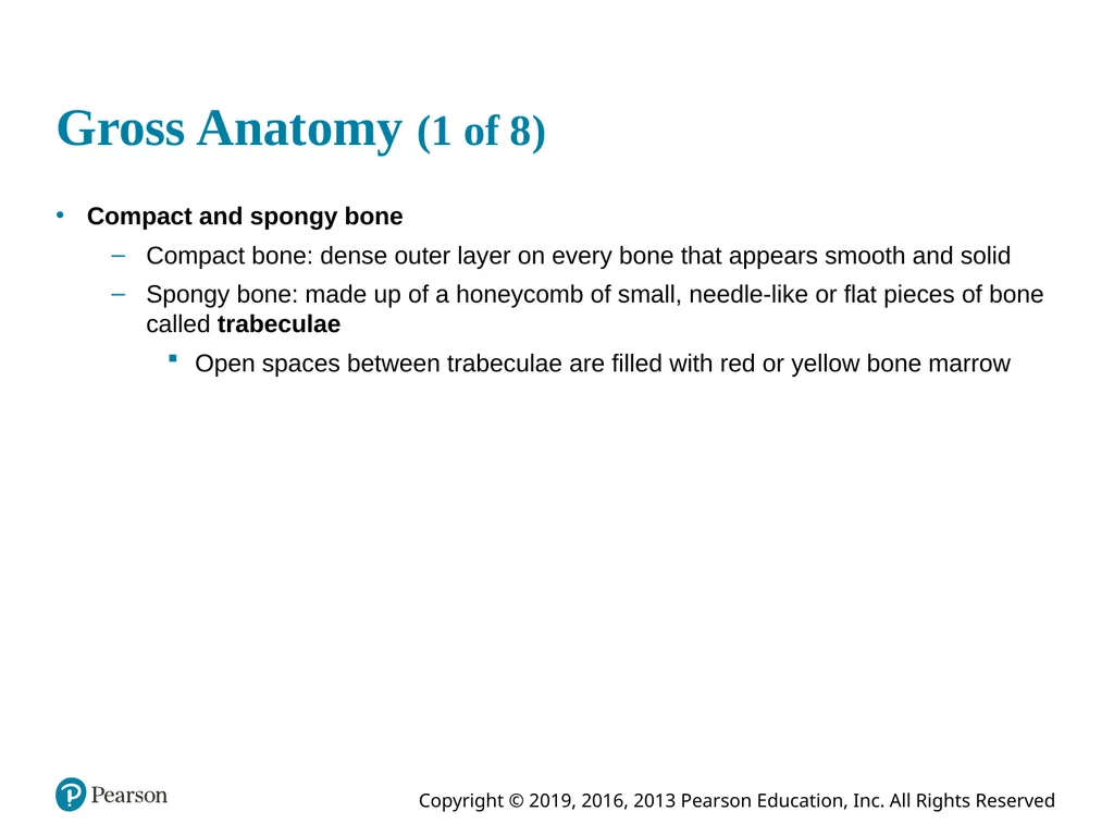Human Anatomy and Physiology Eleventh Edition - slide 18 of 54