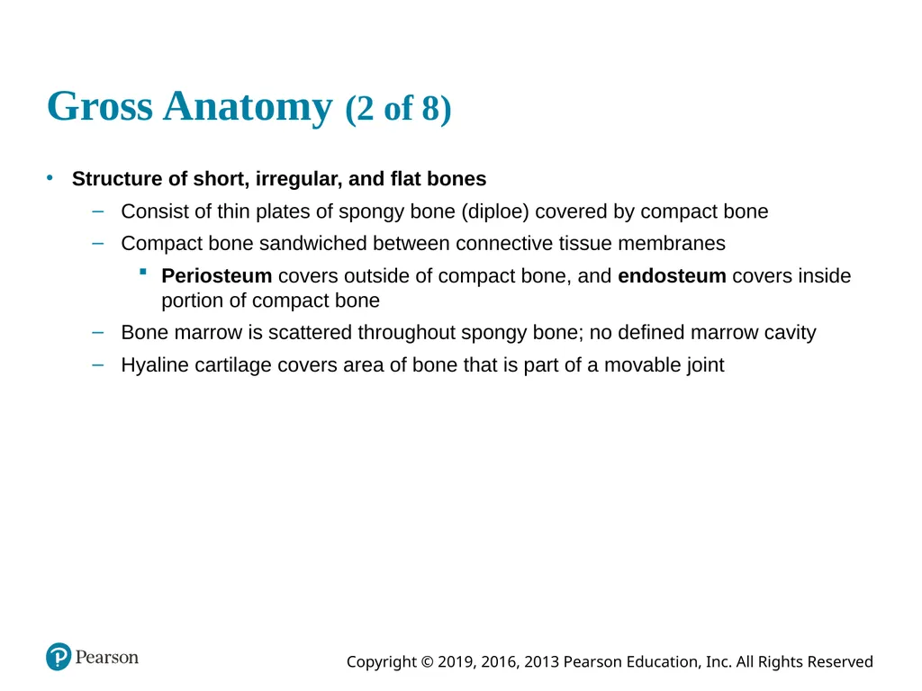 Human Anatomy and Physiology Eleventh Edition - slide 20 of 54