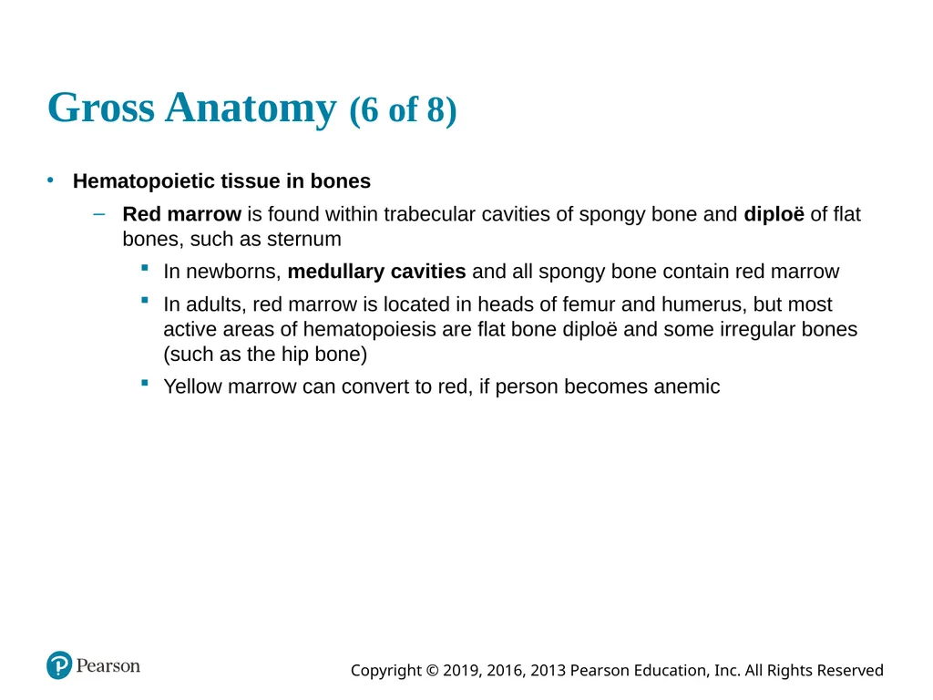 Human Anatomy and Physiology Eleventh Edition - slide 28 of 54