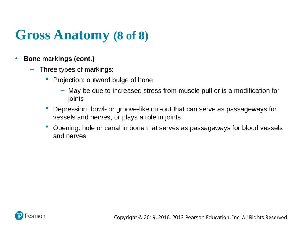 Human Anatomy and Physiology Eleventh Edition - slide 30 of 54