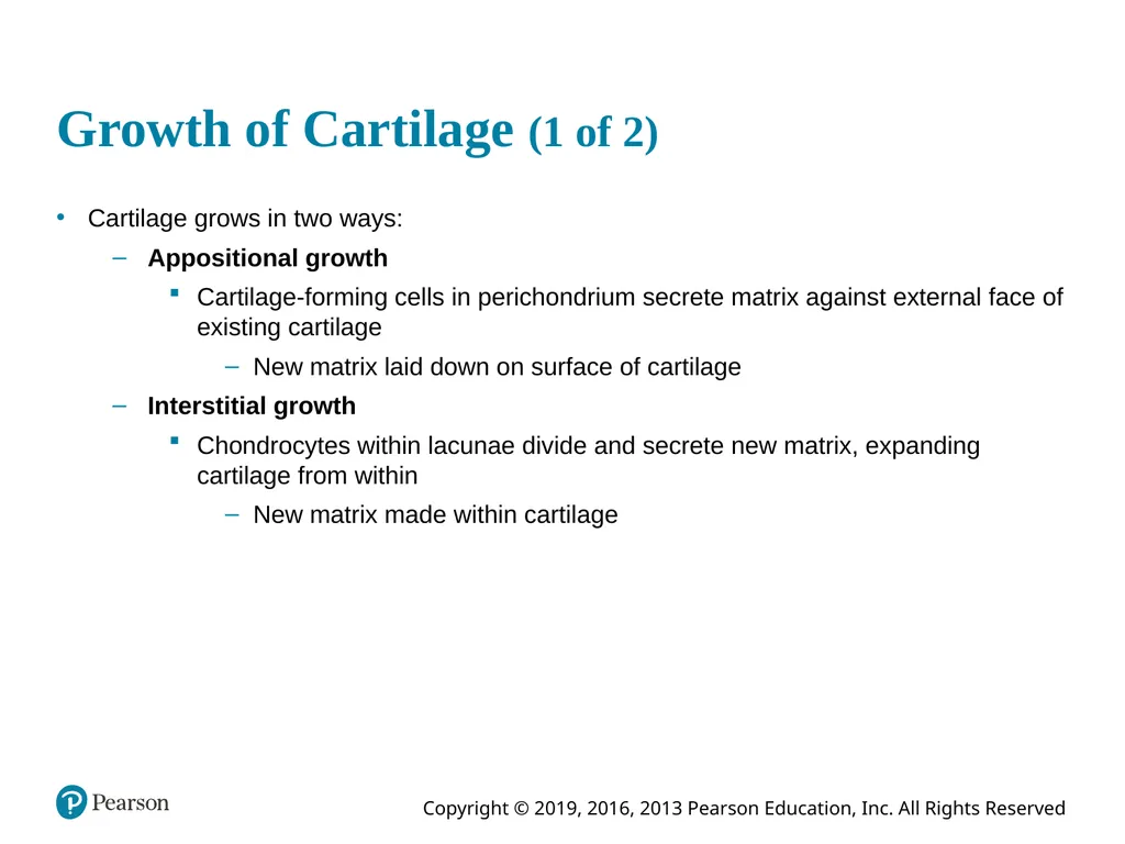 Human Anatomy and Physiology Eleventh Edition - slide 8 of 54