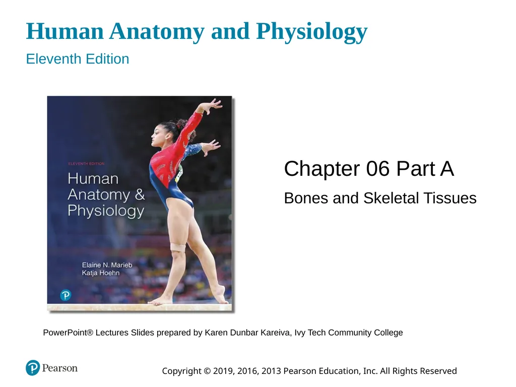 Human Anatomy and Physiology Eleventh Edition - slide 1 of 54