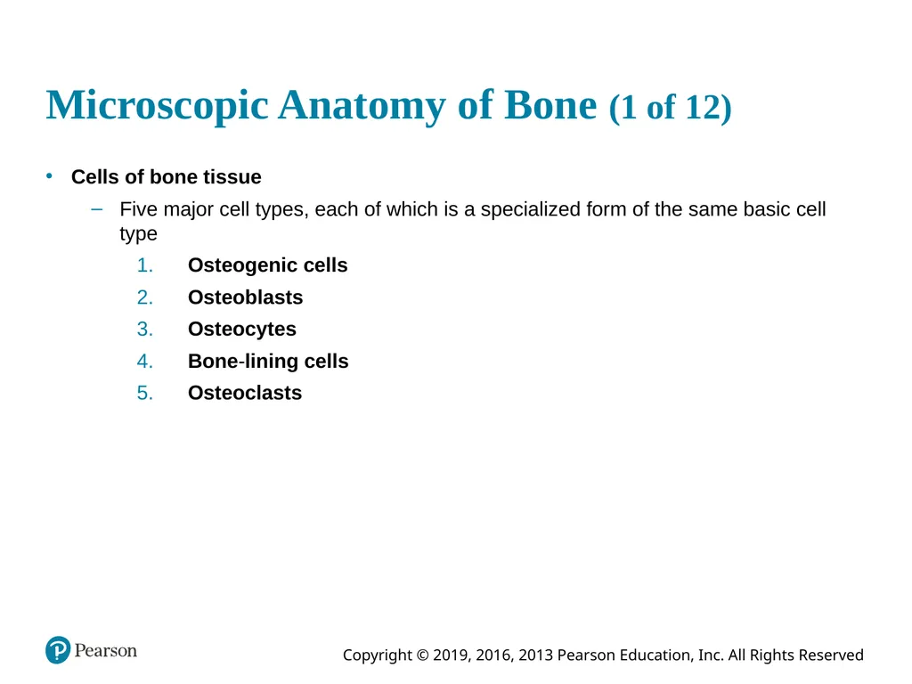 Human Anatomy and Physiology Eleventh Edition - slide 33 of 54