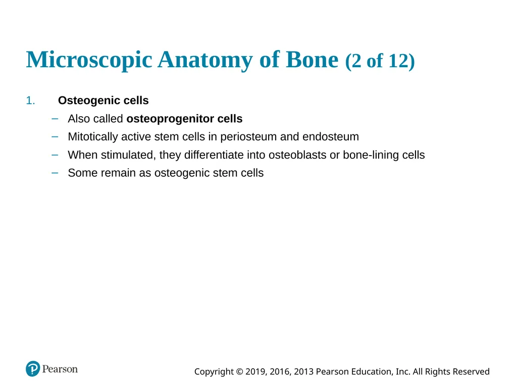 Human Anatomy and Physiology Eleventh Edition - slide 34 of 54