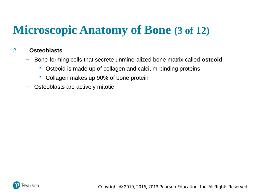 Human Anatomy and Physiology Eleventh Edition - slide 35 of 54