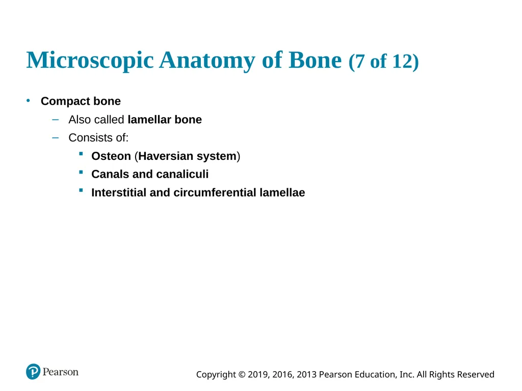 Human Anatomy and Physiology Eleventh Edition - slide 42 of 54