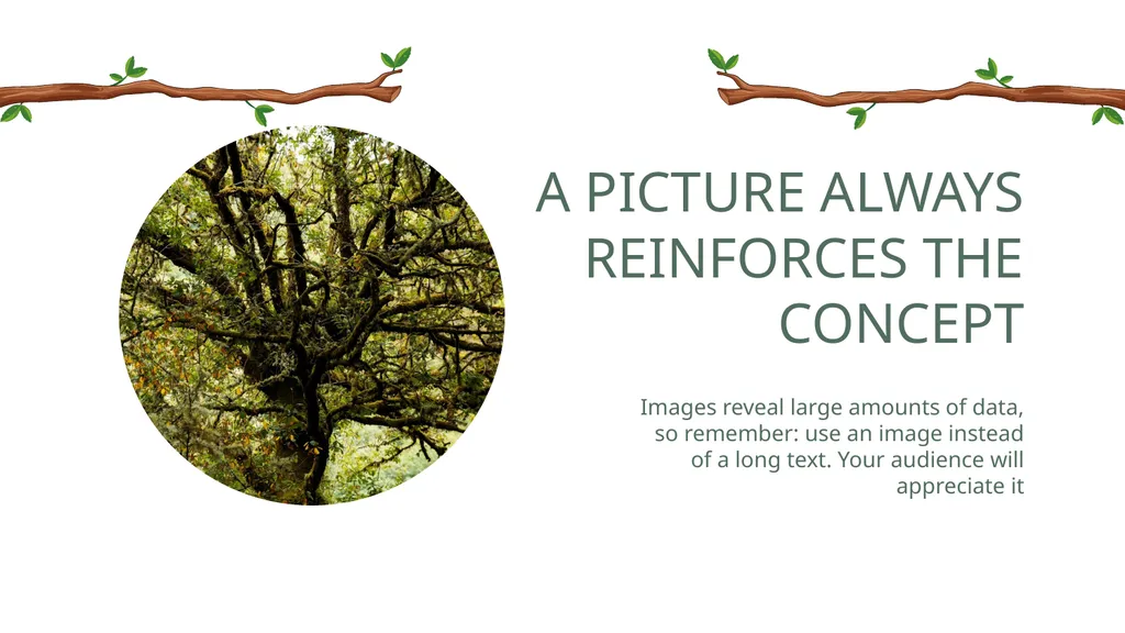TREES Free Template Here is where your - slide 25 of 50