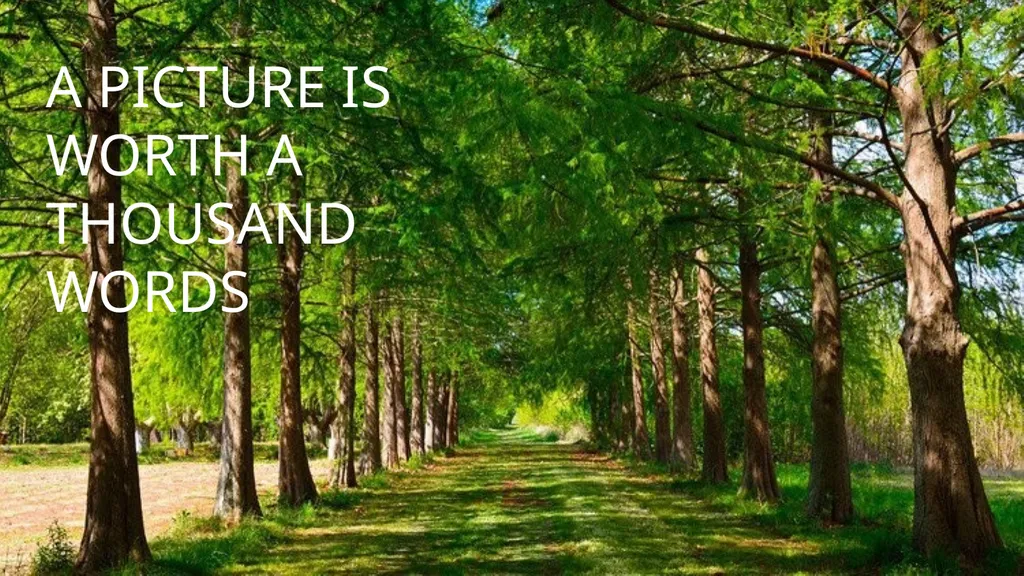 TREES Free Template Here is where your - slide 33 of 50