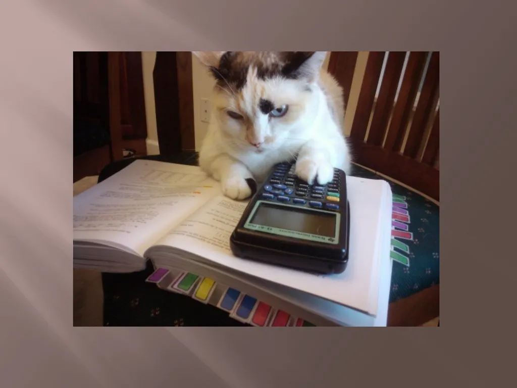 MATHEMATICAL ECONOMICS And its Applications MATH - slide 6 of 27