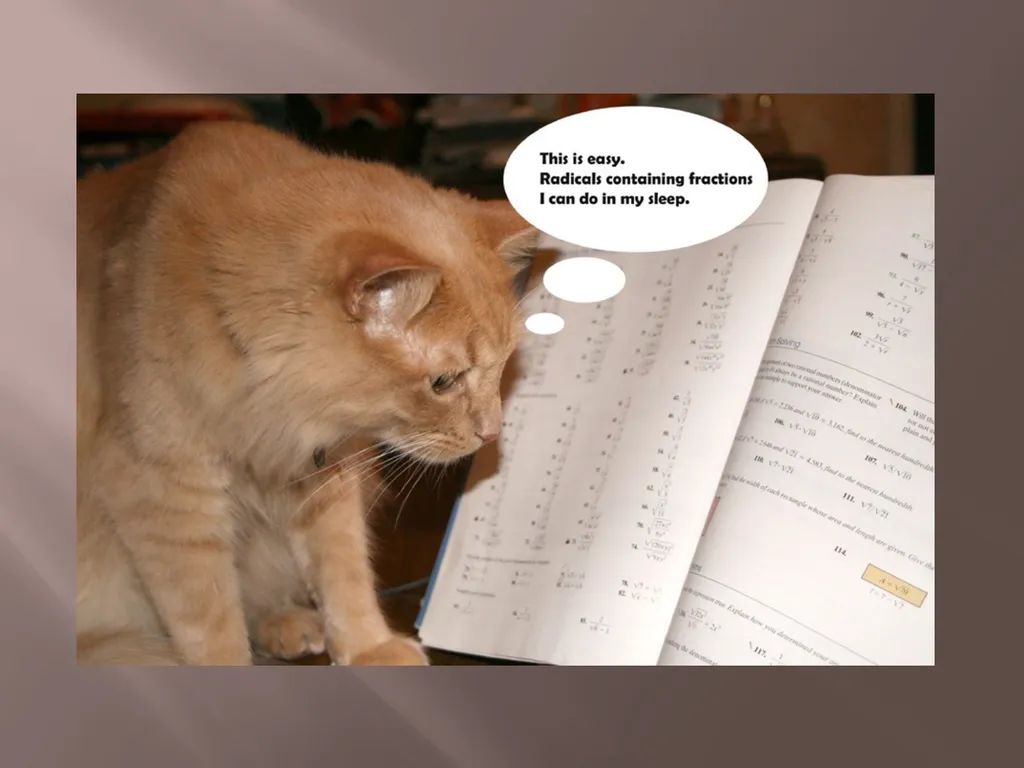 MATHEMATICAL ECONOMICS And its Applications MATH - slide 9 of 27