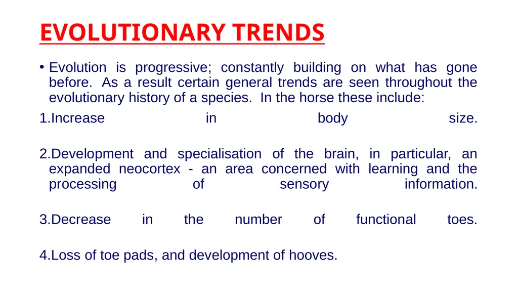 EVOLUTION OF HORSE PRESENTED BY KAVITA PRAJAPATI - slide 6 of 12