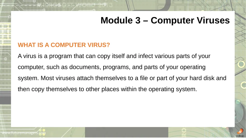 Computer Practice N6 www.futuremanagers.com - slide 11 of 38