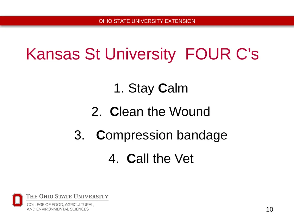 Basic Equine Wound Care Timothy McDermott DVM - slide 10 of 11