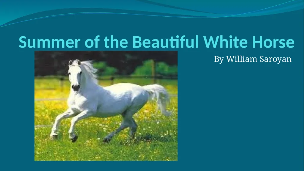 Summer of the Beautiful White Horse By William - slide 1 of 10