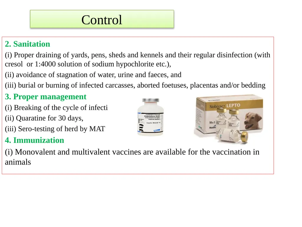 Leptospirosis is a bacterial disease that affects - slide 26 of 28