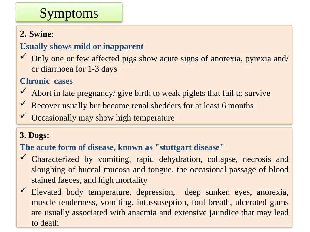 Leptospirosis is a bacterial disease that affects - slide 14 of 28