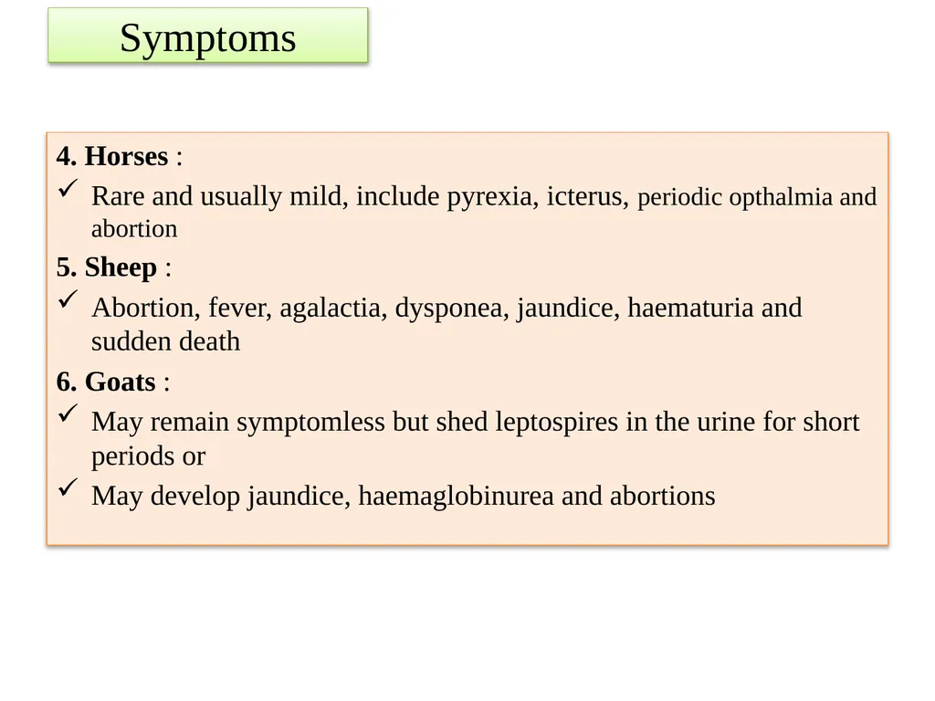 Leptospirosis is a bacterial disease that affects - slide 15 of 28