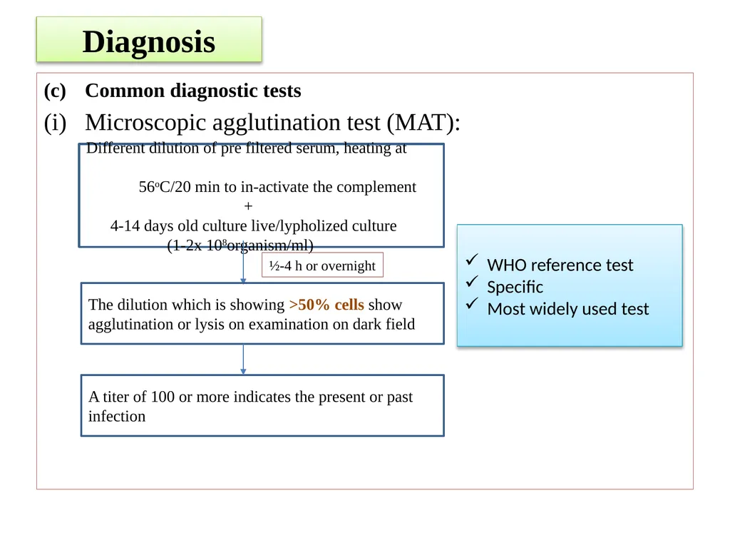Leptospirosis is a bacterial disease that affects - slide 20 of 28