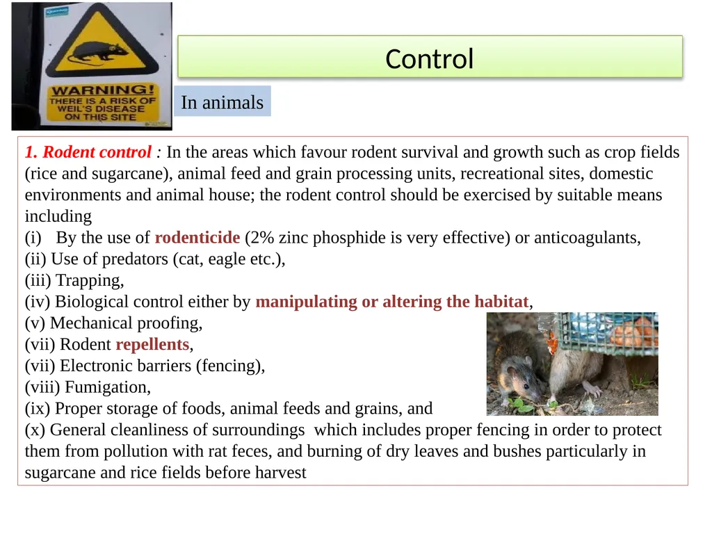 Leptospirosis is a bacterial disease that affects - slide 25 of 28
