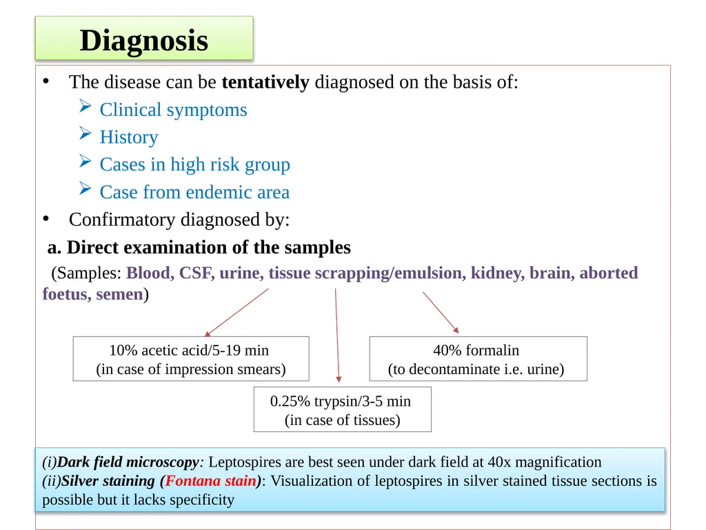 Leptospirosis is a bacterial disease that affects - slide 18 of 28