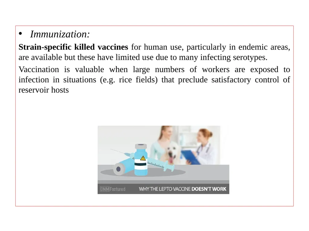 Leptospirosis is a bacterial disease that affects - slide 24 of 28