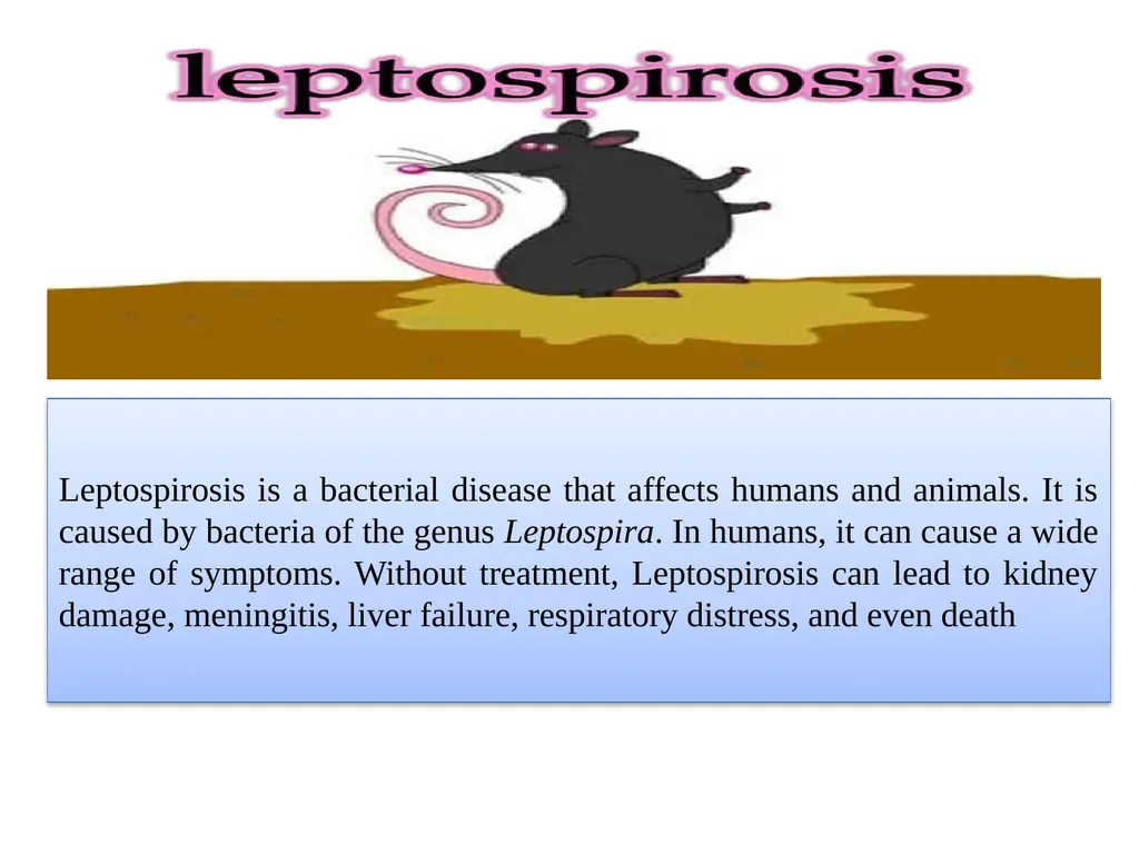 Leptospirosis is a bacterial disease that affects - slide 1 of 28