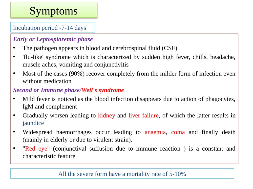 Leptospirosis is a bacterial disease that affects - slide 16 of 28