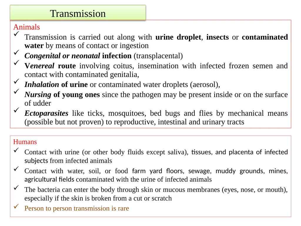 Leptospirosis is a bacterial disease that affects - slide 9 of 28
