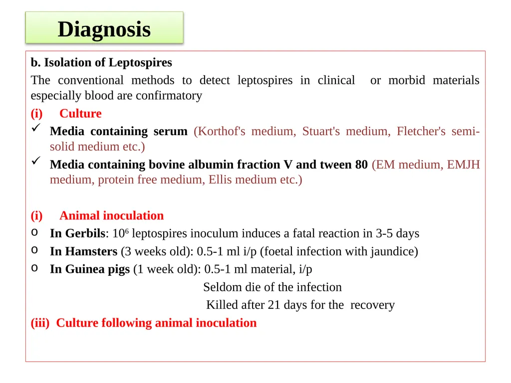 Leptospirosis is a bacterial disease that affects - slide 19 of 28