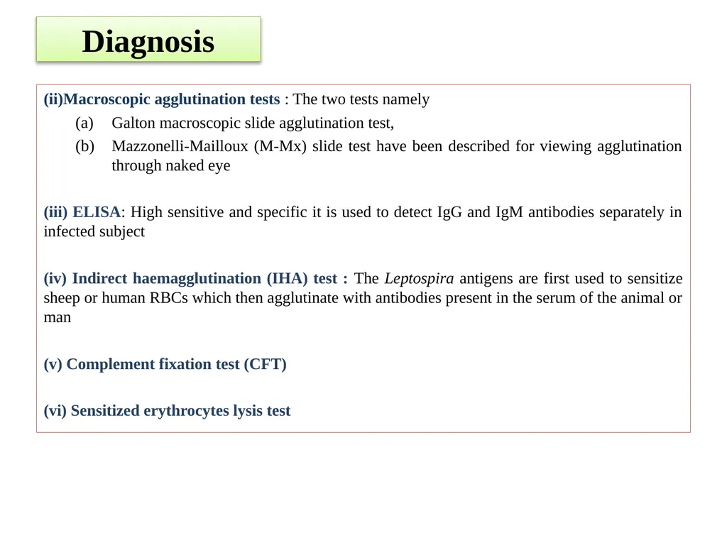 Leptospirosis is a bacterial disease that affects - slide 21 of 28
