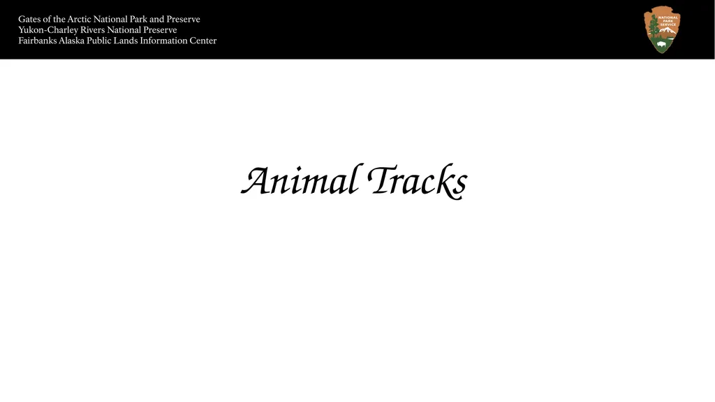 Animal Tracks Sheep track Caribou track Size Red - slide 1 of 7