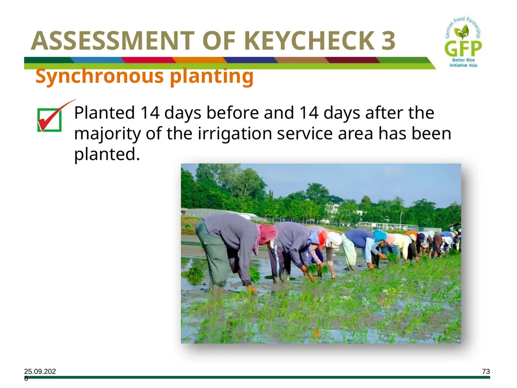 MODULE 7 Crop Establishment Objectives By the end - slide 73 of 99