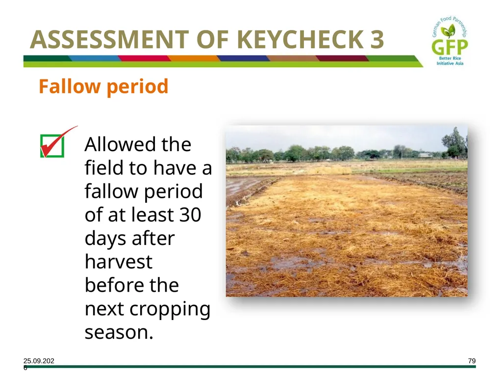 MODULE 7 Crop Establishment Objectives By the end - slide 79 of 99