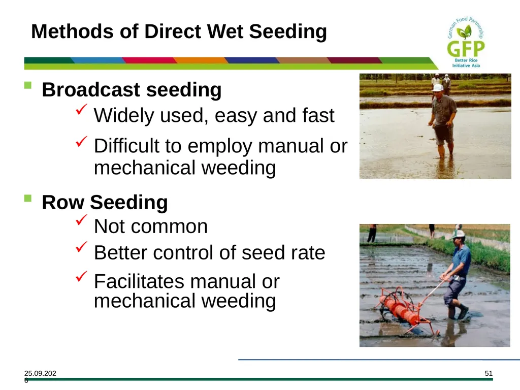 MODULE 7 Crop Establishment Objectives By the end - slide 51 of 99