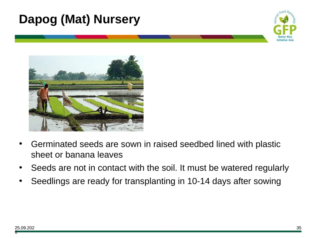 MODULE 7 Crop Establishment Objectives By the end - slide 35 of 99