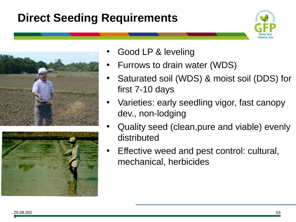 MODULE 7 Crop Establishment Objectives By the end - slide 53 of 99