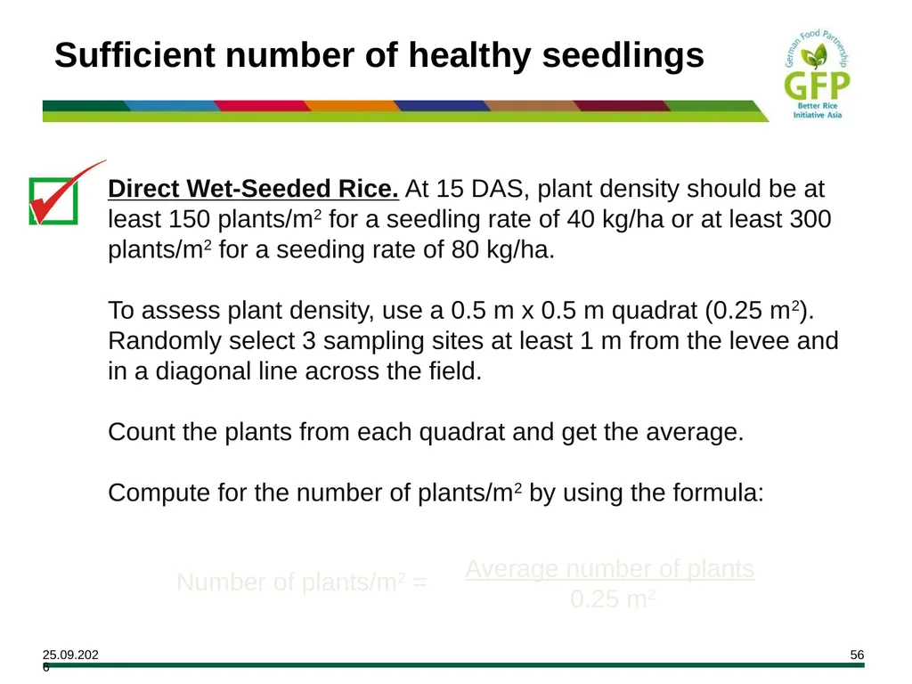 MODULE 7 Crop Establishment Objectives By the end - slide 56 of 99