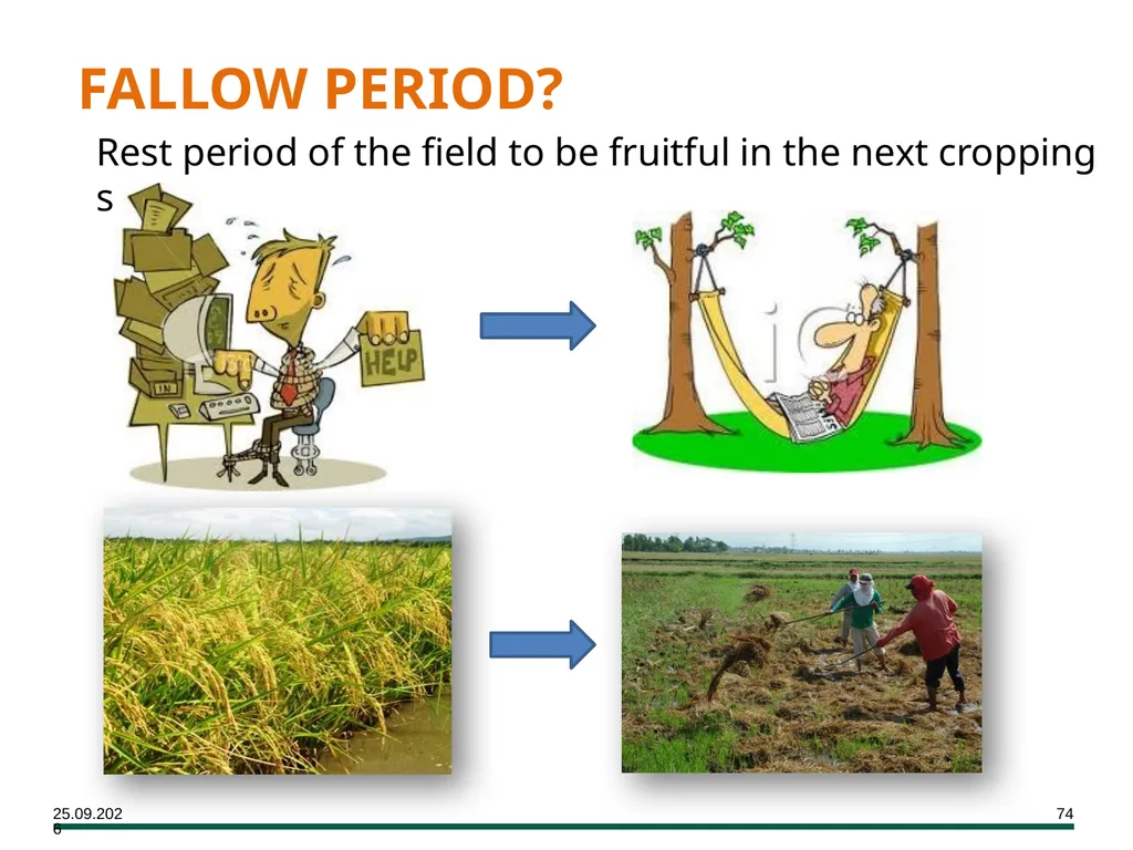 MODULE 7 Crop Establishment Objectives By the end - slide 74 of 99