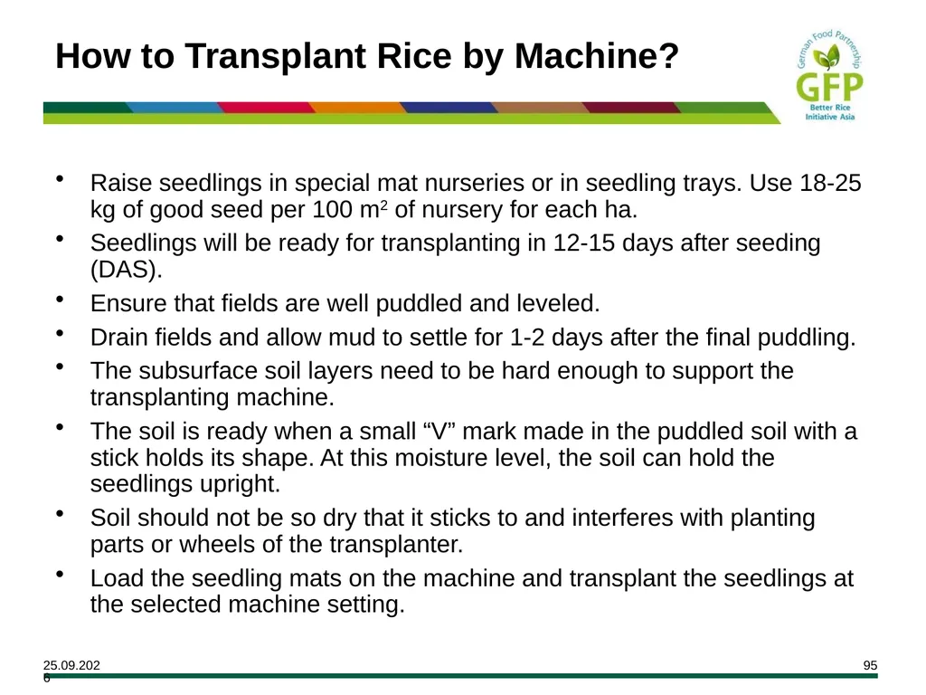 MODULE 7 Crop Establishment Objectives By the end - slide 95 of 99