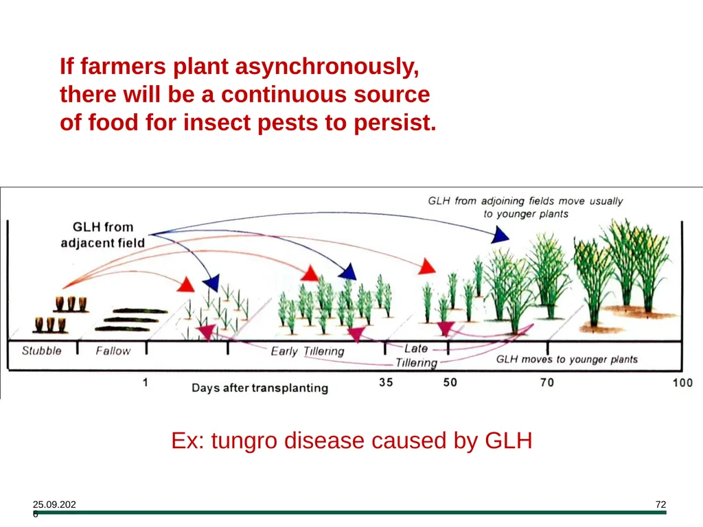 MODULE 7 Crop Establishment Objectives By the end - slide 72 of 99