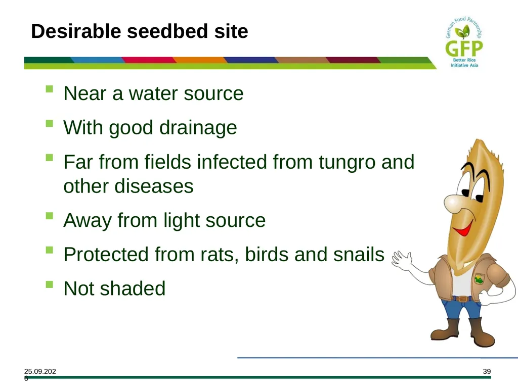 MODULE 7 Crop Establishment Objectives By the end - slide 39 of 99