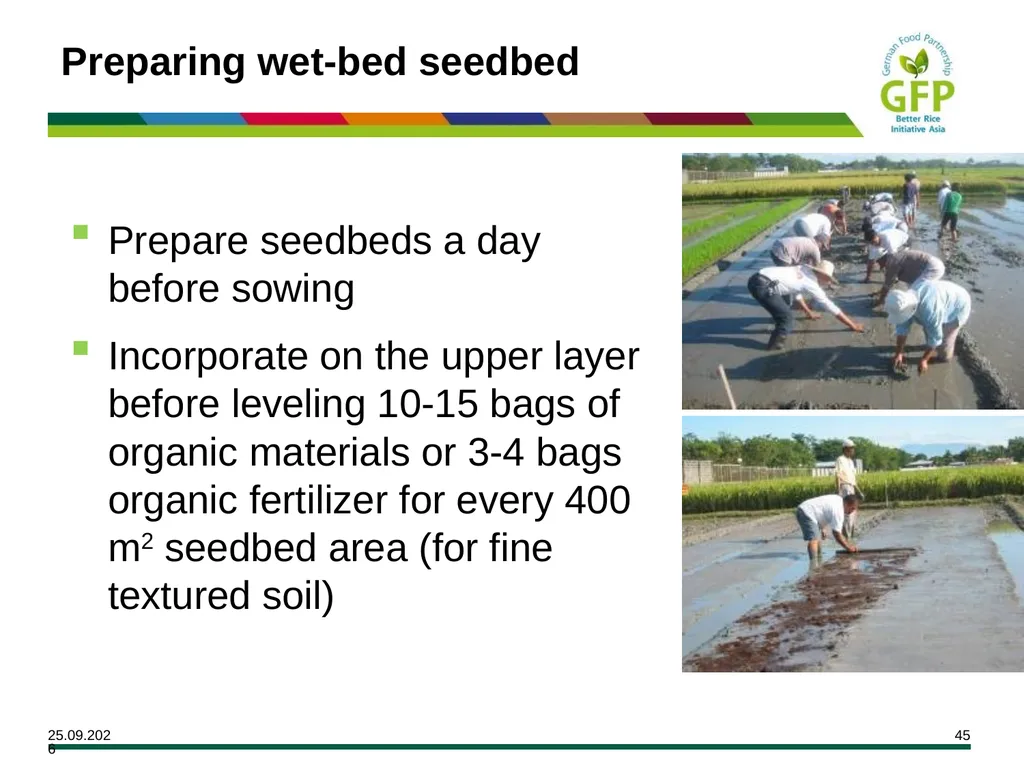 MODULE 7 Crop Establishment Objectives By the end - slide 45 of 99
